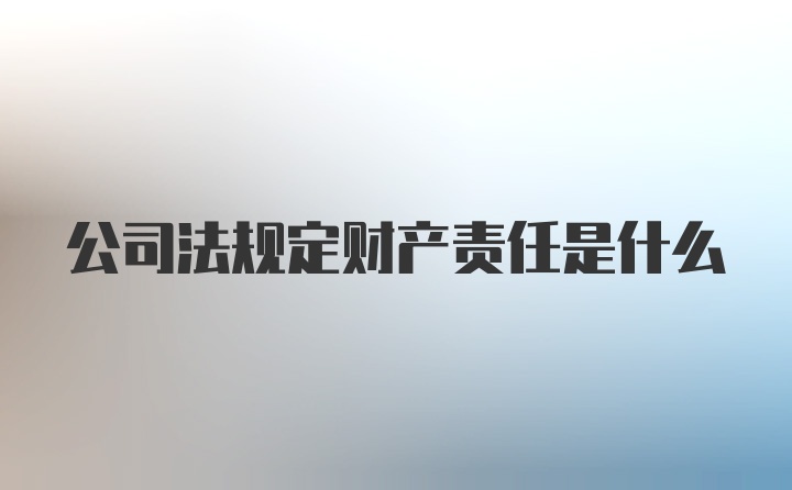 公司法规定财产责任是什么