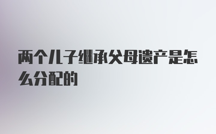 两个儿子继承父母遗产是怎么分配的