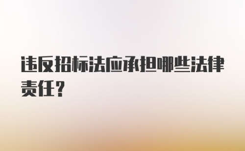 违反招标法应承担哪些法律责任？