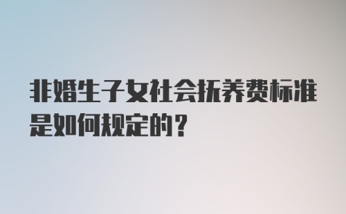 非婚生子女社会抚养费标准是如何规定的？