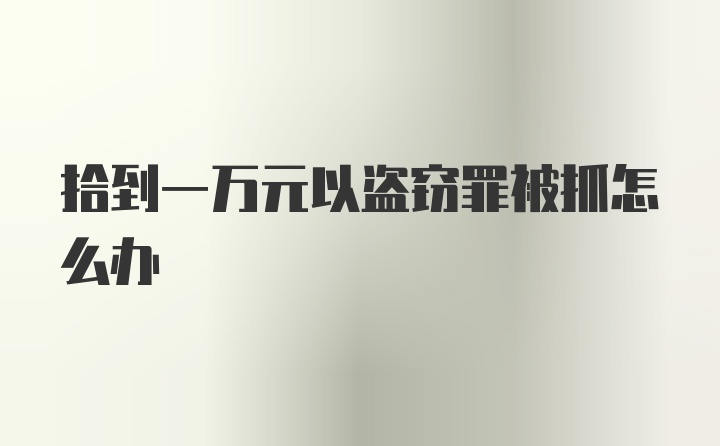 拾到一万元以盗窃罪被抓怎么办