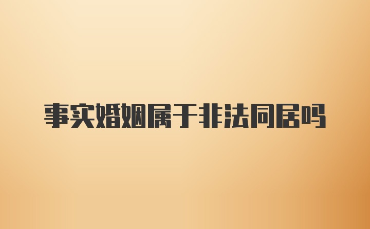 事实婚姻属于非法同居吗
