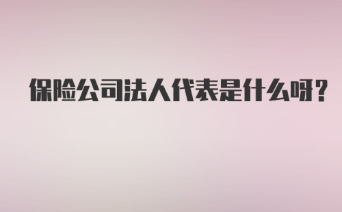 保险公司法人代表是什么呀？