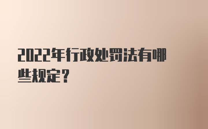 2022年行政处罚法有哪些规定？