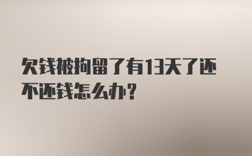 欠钱被拘留了有13天了还不还钱怎么办？