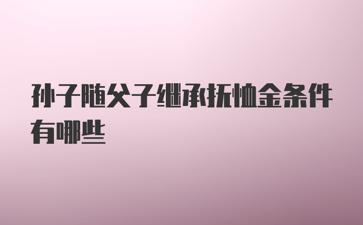 孙子随父子继承抚恤金条件有哪些