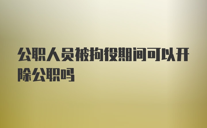 公职人员被拘役期间可以开除公职吗