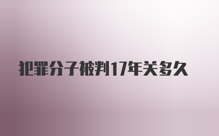 犯罪分子被判17年关多久