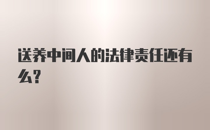 送养中间人的法律责任还有么？