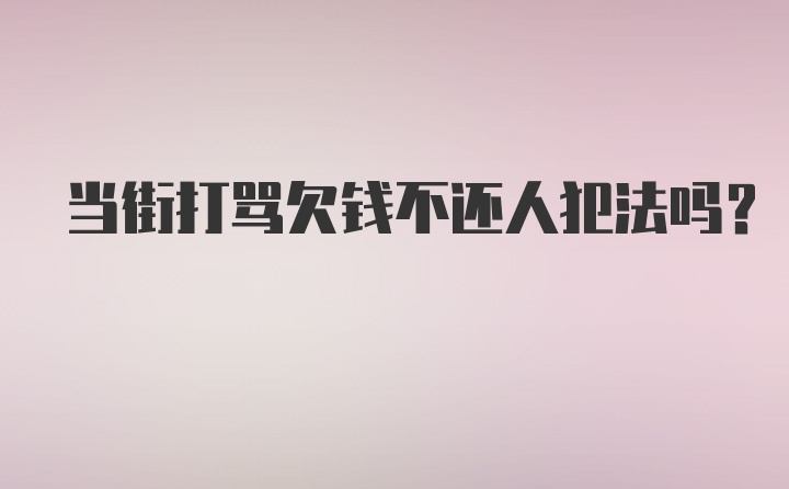 当街打骂欠钱不还人犯法吗？