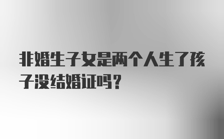 非婚生子女是两个人生了孩子没结婚证吗？