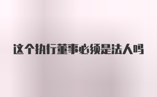 这个执行董事必须是法人吗