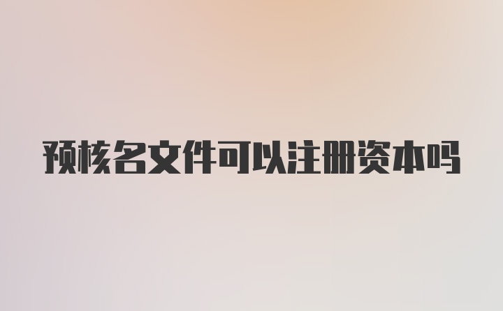 预核名文件可以注册资本吗