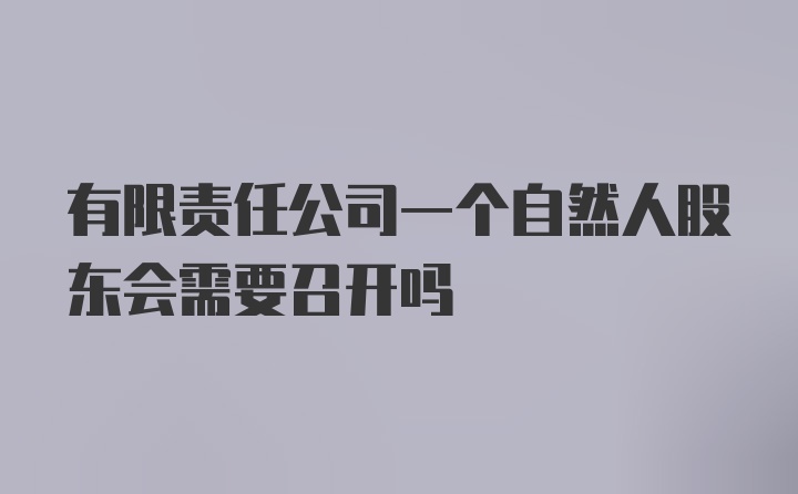 有限责任公司一个自然人股东会需要召开吗