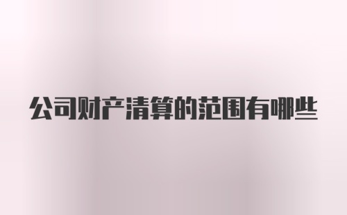 公司财产清算的范围有哪些