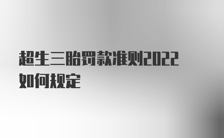 超生三胎罚款准则2022如何规定