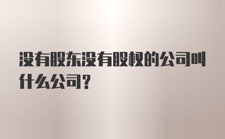 没有股东没有股权的公司叫什么公司？