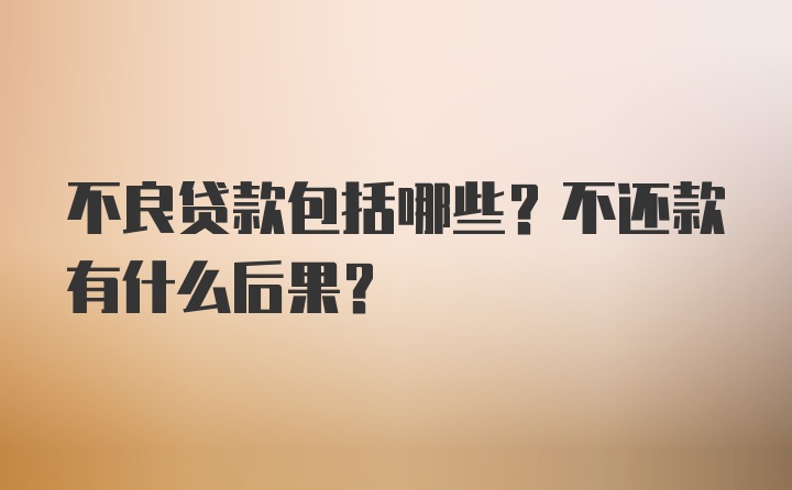 不良贷款包括哪些？不还款有什么后果？