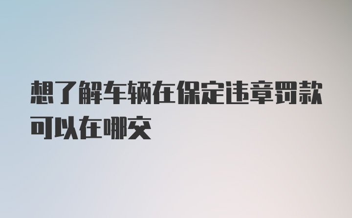 想了解车辆在保定违章罚款可以在哪交