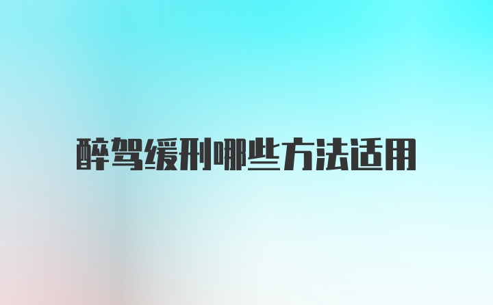 醉驾缓刑哪些方法适用