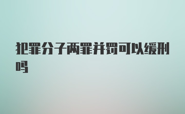 犯罪分子两罪并罚可以缓刑吗