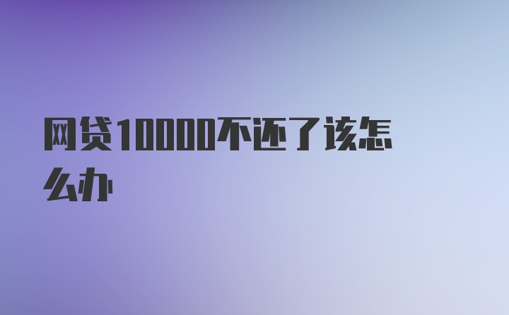 网贷10000不还了该怎么办