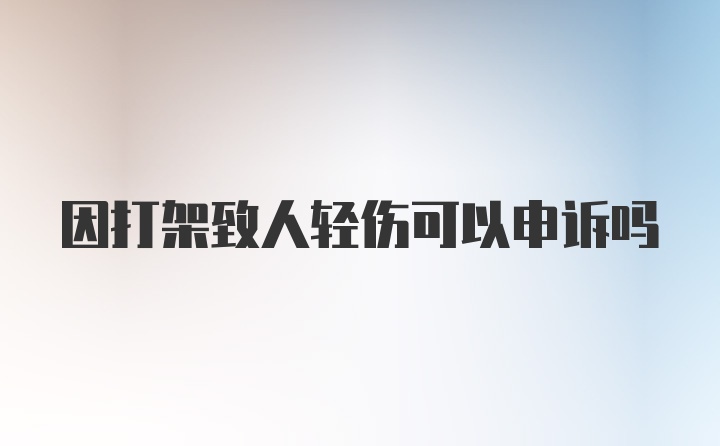 因打架致人轻伤可以申诉吗