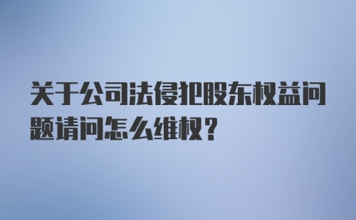 关于公司法侵犯股东权益问题请问怎么维权?