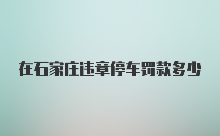 在石家庄违章停车罚款多少