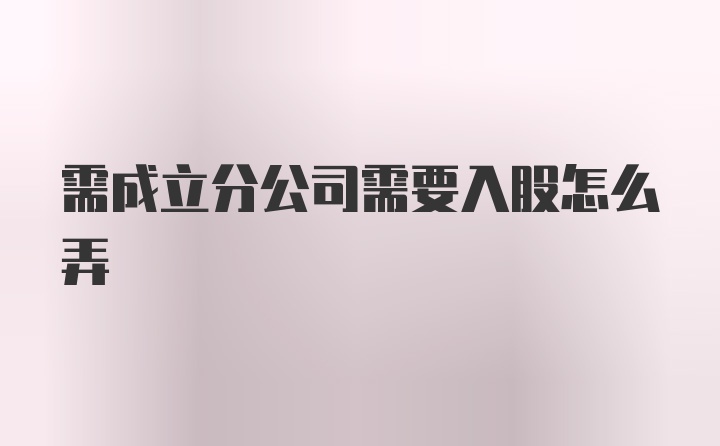 需成立分公司需要入股怎么弄