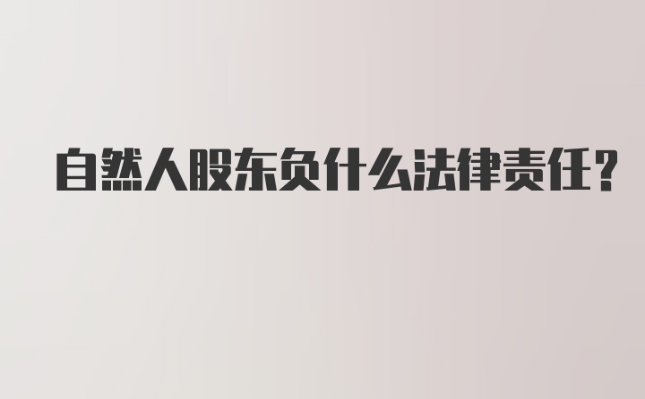 自然人股东负什么法律责任？