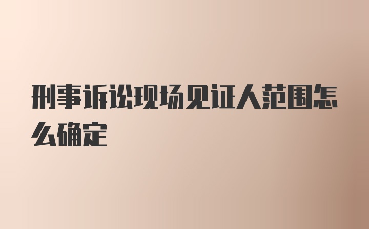 刑事诉讼现场见证人范围怎么确定