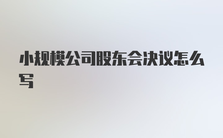 小规模公司股东会决议怎么写