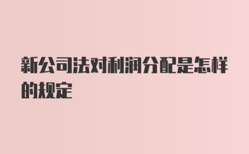 新公司法对利润分配是怎样的规定