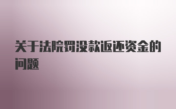 关于法院罚没款返还资金的问题