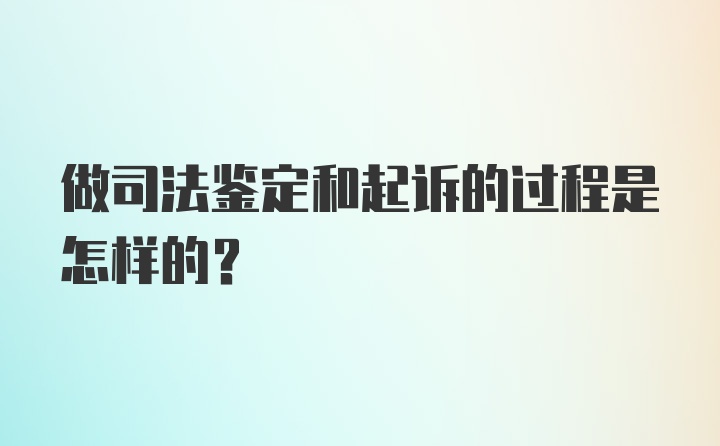 做司法鉴定和起诉的过程是怎样的？