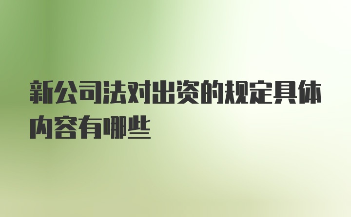 新公司法对出资的规定具体内容有哪些