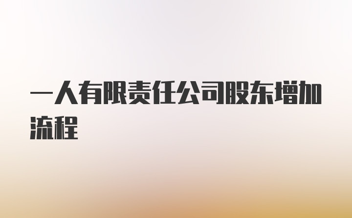 一人有限责任公司股东增加流程