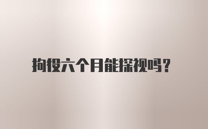 拘役六个月能探视吗？