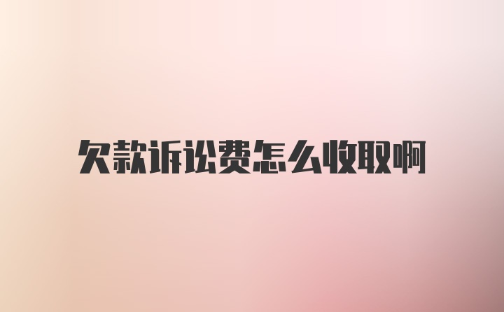 欠款诉讼费怎么收取啊