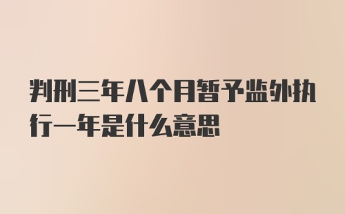 判刑三年八个月暂予监外执行一年是什么意思