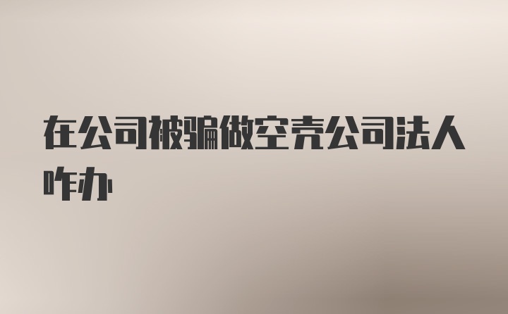 在公司被骗做空壳公司法人咋办