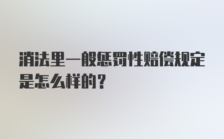 消法里一般惩罚性赔偿规定是怎么样的？