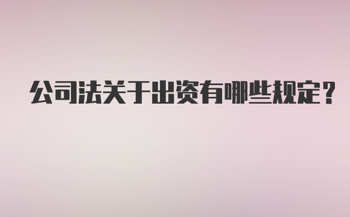 公司法关于出资有哪些规定?