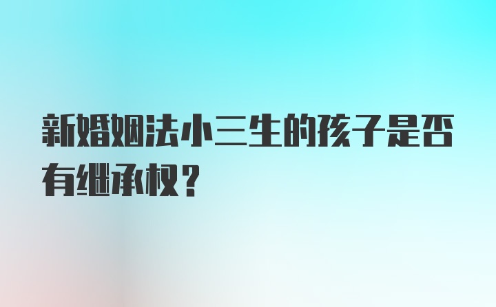 新婚姻法小三生的孩子是否有继承权？