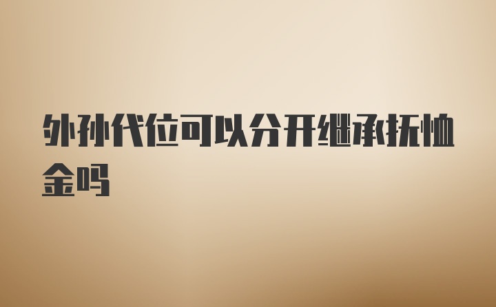 外孙代位可以分开继承抚恤金吗