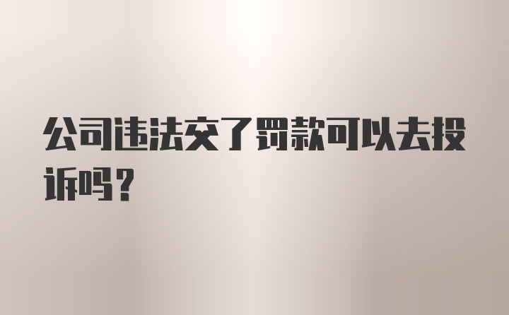 公司违法交了罚款可以去投诉吗？