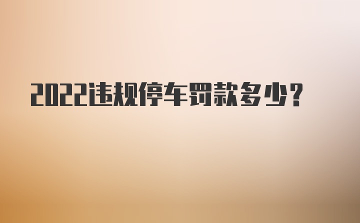 2022违规停车罚款多少？