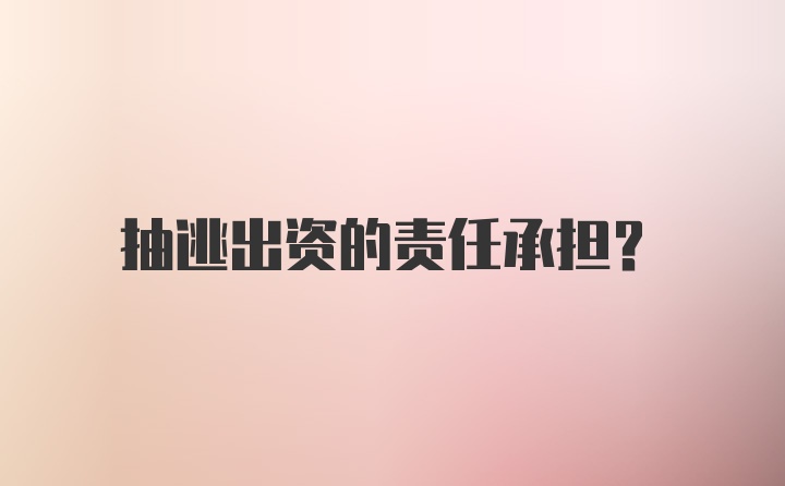 抽逃出资的责任承担？