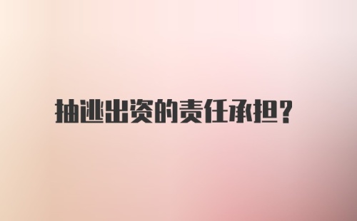 抽逃出资的责任承担？